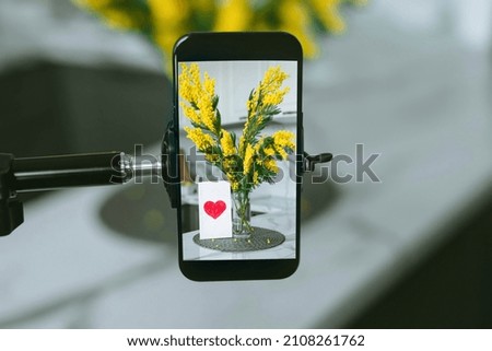 Photo on a smartphone Mimosa Branch Postcard with a Heart on the background of a Gray and White Kitchen. Banner for March 8. Women's Day. Vertical photo