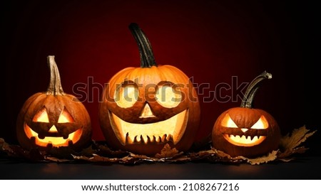Carved pumpkins for Halloween on dark background