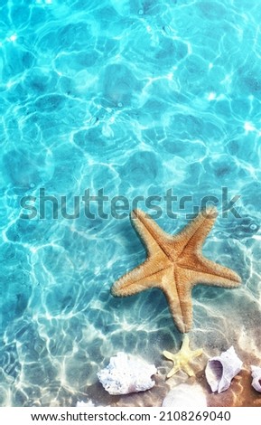 Starfish and seashell on the summer beach in sea water. Summer background. Summer time. Royalty-Free Stock Photo #2108269040