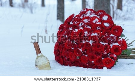 Red roses bouquet on snow