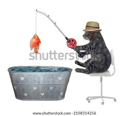A gray cat in a sraw hat caught a goldfish from a washtub. White background. Isolated.