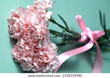 Pink carnations on a green-blue background. Bouquet of garden carnations close up, selective focus. Romantic card for Valentine's Day, Woman or Mother's Day, Birthday. Top view, copy space.