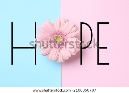 Word HOPE made with letters and beautiful gerbera on color background, top view 