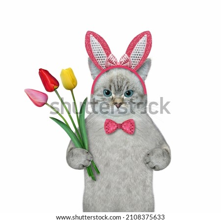 An ashen cat in pink easter bunny ears with a bouquet of colored tulips. White background. Isolated.