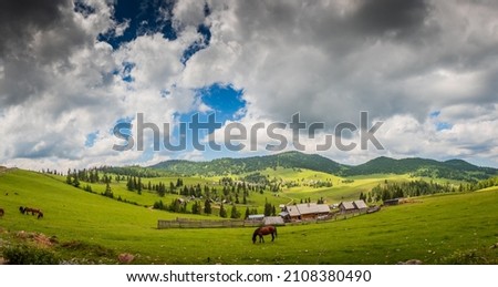 Apuseni Mountains landscapes with traditional houses, horses,green grass and white clouds Royalty-Free Stock Photo #2108380490