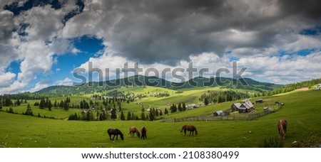 Apuseni Mountains landscapes with traditional houses, horses,green grass and white clouds Royalty-Free Stock Photo #2108380499
