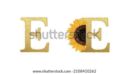 Golden sunflower Latin alphabet. Summer ABC on white background. Letter E