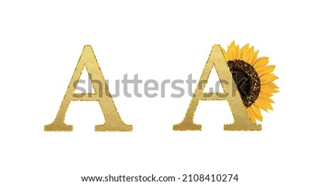 Golden sunflower Latin alphabet. Summer ABC on white background. Letter A