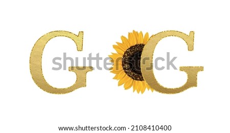 Golden sunflower Latin alphabet. Summer ABC on white background. Letter G