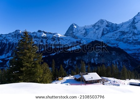 Beautiful mountain panorama at the Swiss Alps seen from mountain railway station Winteregg Mürren on a sunny winter day. Photo taken January 15th, 2022, Lauterbrunnen, Switzerland.