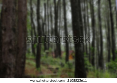 blur picture of lined up trees