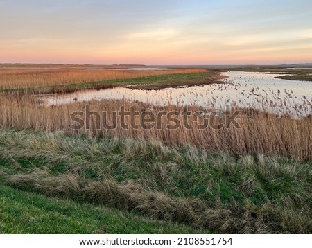 Landscape of beautiful sunset over marshland at nature reserve water pools and reeds on the coast in Cley next the sea Norfolk East Anglia uk with colourful sky on beach horizon on Winter afternoon Royalty-Free Stock Photo #2108551754