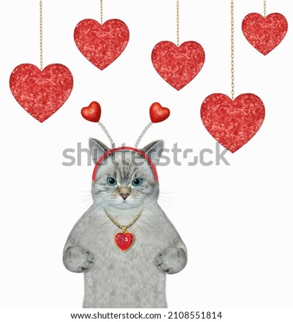 An ashen cat in a holiday headband is under heart shaped sausages. White background. Isolated.