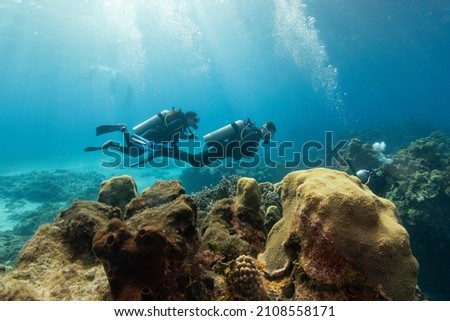 divers scuba diving around the coral reefdivers scuba diving around the coral reef Royalty-Free Stock Photo #2108558171