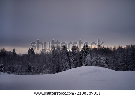 Dramatic winter landscape under fresh fallen snow on a cloudy morning day. High quality photo Royalty-Free Stock Photo #2108589011