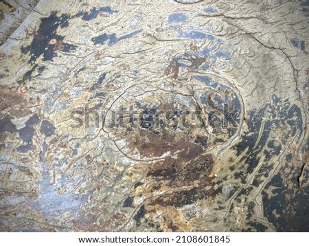 Surface of an old wood background 