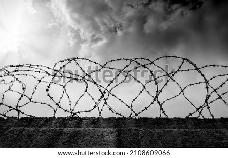 Prison. Prison wall with barbed wire. Law and justice Royalty-Free Stock Photo #2108609066