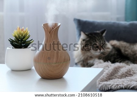 A wooden diffuser in the form of a lamp on a light table in a dark room. The concept of humidification of dry air and plants. A flower in a white pot, in the background a cat lies. Royalty-Free Stock Photo #2108610518