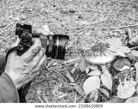 Woman hand taking a picture to mushrooms with camera and big lens. BW, Black and white,