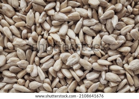 Close up picture of raw sunflower seed kernels, selective focus.