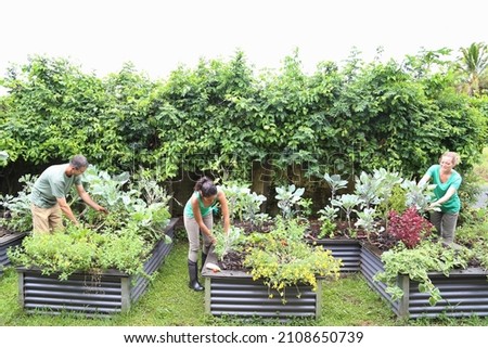 People taking care of plants in community garden Royalty-Free Stock Photo #2108650739