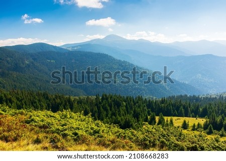 carpathian mountain landscape in summer. forested hills and grassy meadows in morning light. chornohora ridge and hoverla peak in the distance. popular travel destination of ukraine. clouds on the sky
