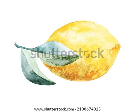 Set of watercolor illustrations of lemons. Hand painted fruit green leaves on white background for your design.