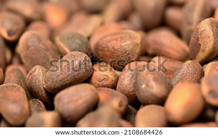 unpeeled pine nut kernels are scattered on a wooden table. copy space. 