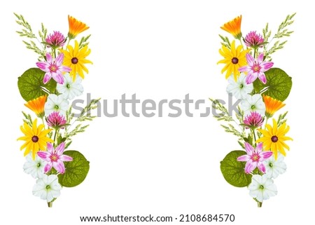Floral background. Wildflowers isolated on a white background. Bouquet of flowers. Nature 