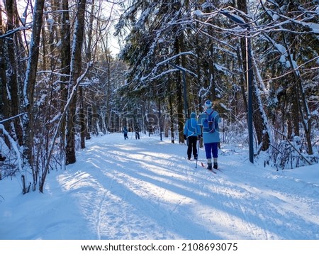 Active rest in winter. Cross-country skiing. Skiing. Exercise the muscles of the whole body. Fresh air. The beauty of the forest. Ski Track.
