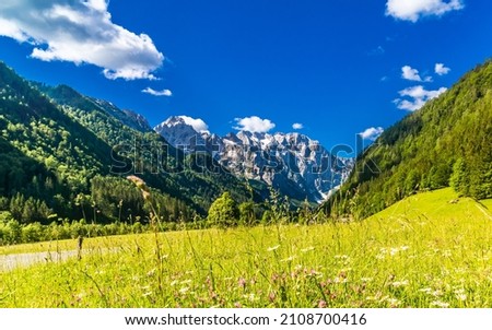 Logar valley or Logarska dolina in the Alps of Slovenia. High quality photo