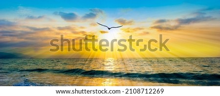 A Single Bird Silhouette Is Flying Into The Ocean Sunset Sky With Sun Rays Emanating From the Colorful Horizon