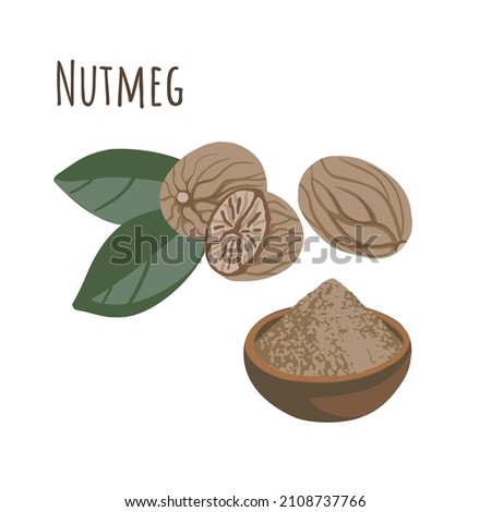 Nutmeg seasoning spice for cooking Royalty-Free Stock Photo #2108737766