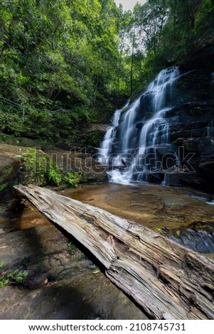 Beautiful natural waterfall in the forest