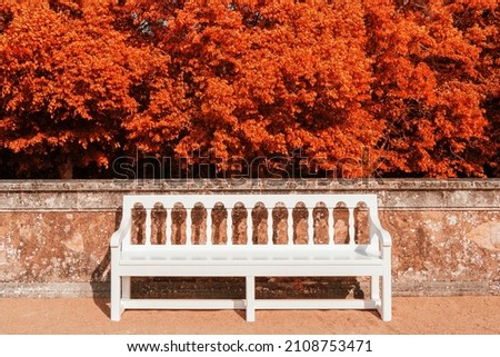 white bench in the park on a sunny autumn day