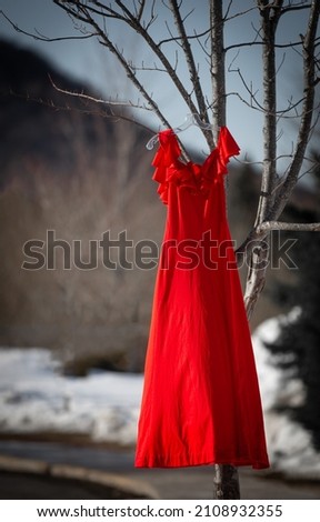 A vertical shot of a red dress hanging from a branch of a tree Royalty-Free Stock Photo #2108932355