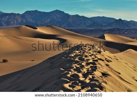 The pictur of foot prints in the sand dunes. Mesquite flat dunes, Death Valley National Park, California USA Stovepipe Wells sand dunes, very nice layer in sand Beautiful.