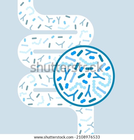 Gut microbiome concept. Human intestine microbiota with healthy probiotic bacteria. Flat abstract medicine illustration of microbiology checkup. Royalty-Free Stock Photo #2108976533