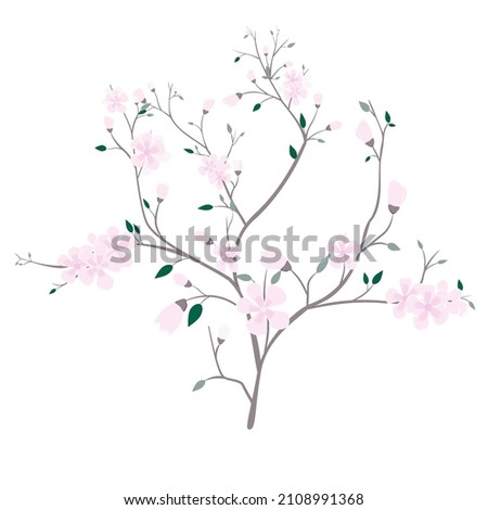 Vector illustration with branches,leaves and pink cherry flowers isolated on white blackground.Spring plant.Beautiful element for design garden cards,textile print,wrapping papers.