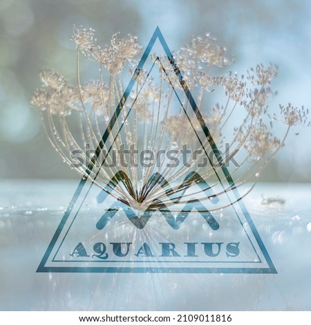 zodiac sign Aquarius in a triangle, the element of air in the horoscope, the sign of Aquarius on a blue background.
