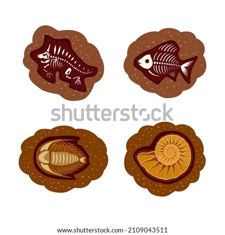 A set of fossils. Ammonite, fish, trilobite, dinosaur. Icon, clipart for website, apps about fossils, science, molluscs, biology, paleontology. Vector flat illustration, cartoon style.