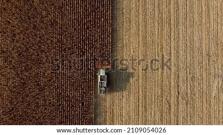 Aerial Drone View Flight Over Combine Harvester that Reaps Dry Corn in Field on an Autumn Day. Top View of Harvester Machines Working in Cornfield. Harvesting, Agrarian and Agricultural Works, Farming Royalty-Free Stock Photo #2109054026