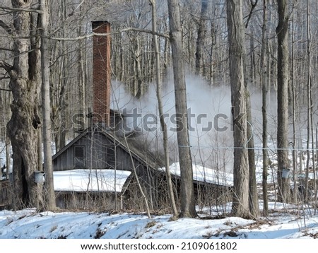Amish sugarhouses in March in northeast ohio. Making maple syrup. Royalty-Free Stock Photo #2109061802