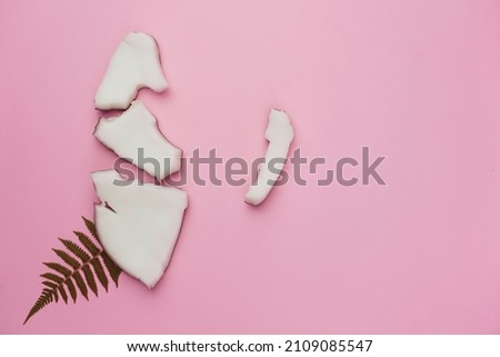 coconut slices with pink background for product photo concept
