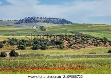Landscape of Trapani region on Sicily Island in Italy