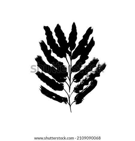 Hand drawn black palm leaf silhouette. Vector design element with ink and brush. Tropical plant, vector long branch. Hand drawn foliage, tree twig. Clip art isolated on white