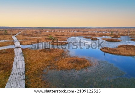 Swamp Yelnya in autumn landscape. Wild mire of Belarus. East European swamps and Peat Bogs. Ecological reserve in wildlife. Marshland at wild nature. Swampy land and wetland, marsh, bog. Royalty-Free Stock Photo #2109122525