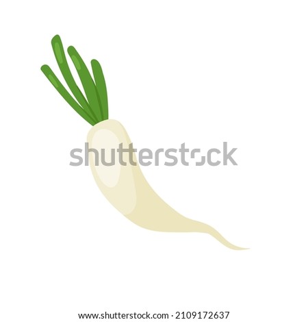 Daikon radish vegetable fresh veg product, organic farm food production vector illustration. Cartoon raw daikon with cut green leaves for healthy diet isolated on white Royalty-Free Stock Photo #2109172637
