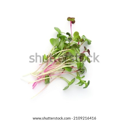 Heap of fresh radish microgreens on white background, top view Royalty-Free Stock Photo #2109216416