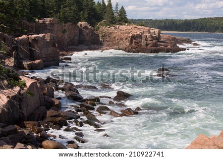 The shore of Acadia national park